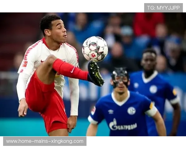 沙尔克04提升边路对抗能力,训练中连续上演强硬拼抢 沙尔克04提升边路对抗能力,训练中连续上演强硬拼抢